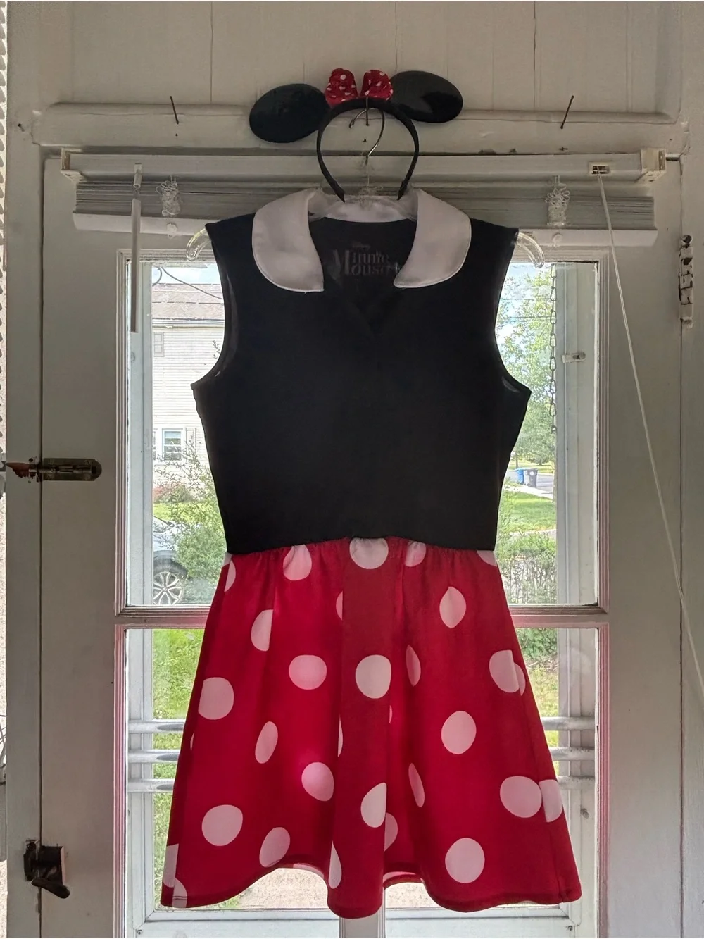 ✨ HOST PICK✨ Disney Adult Minnie Mouse Dress & Ears Costume - Picture 4 of 12